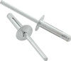 Md Hd Rivet 250Pk Silver Flange Type Alum Mandrel