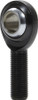 Pro Rod End LH Moly PTFE Lined 3/4 10pk