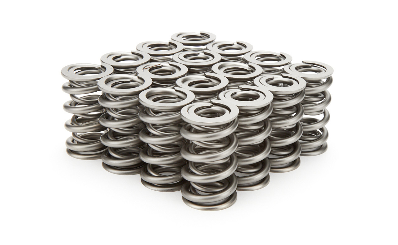 1.324 Dual Valve Springs - RPM Series (16)