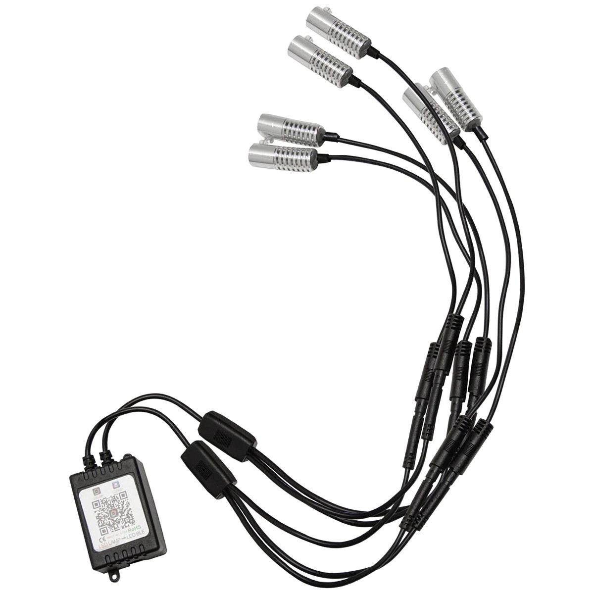https://msimg.blob.core.windows.net/product/ORA4231-333-6.jpg