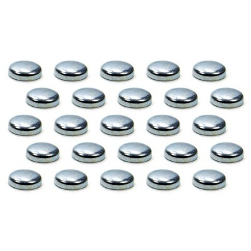 Expansion Plugs - 1in 100pk