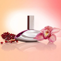 Calvin Klein - Euphoria - Eau de Parfum - Fragrance - Ladies