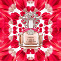 Vince Camuto - Amore - Eau de Parfum - Fragrance - Ladies 608940557099 Vince Camuto - Amore - Eau de Parfum - Fragrance - Ladies 608940557099