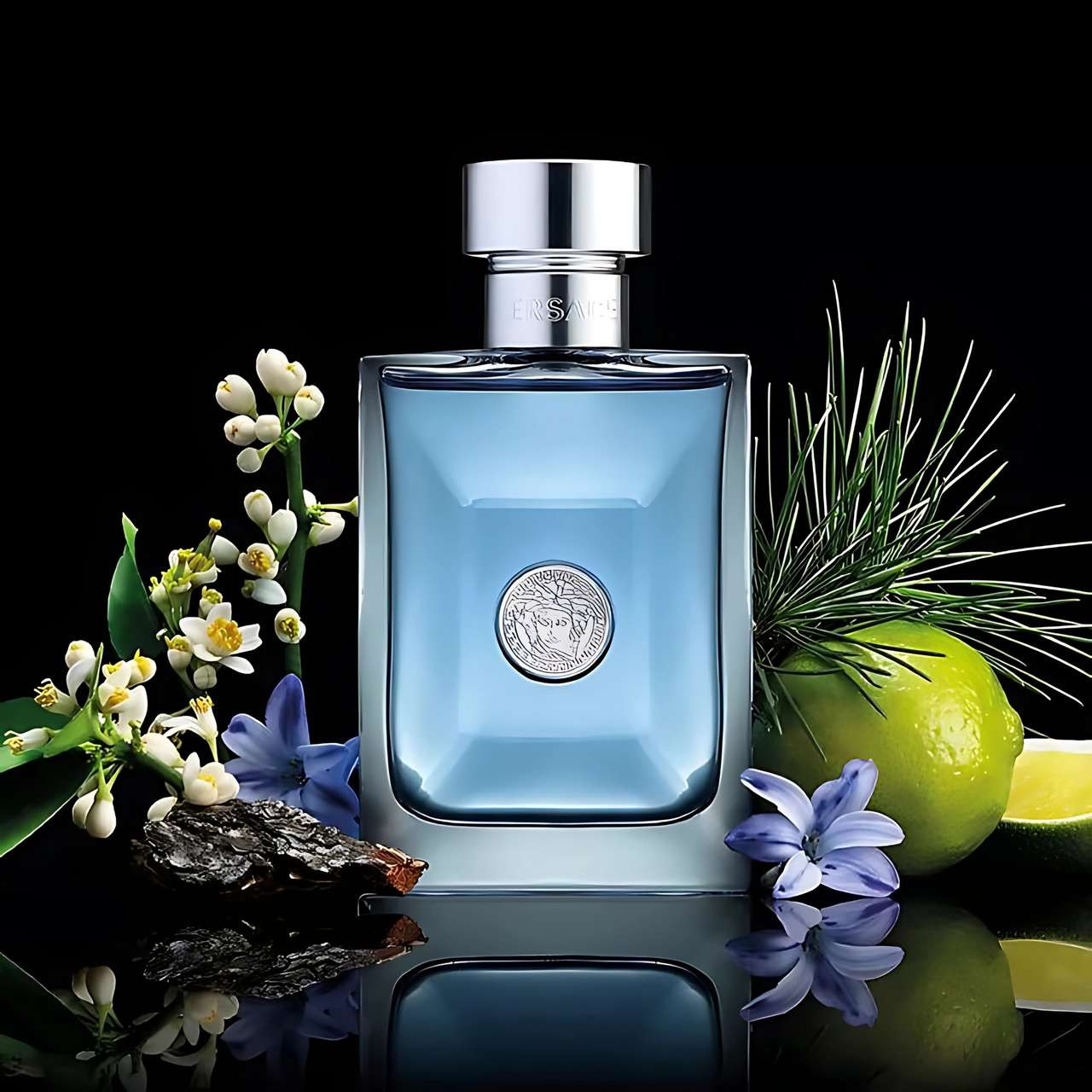 Versace Pour Homme Eau de Toilette Fragrance for Men