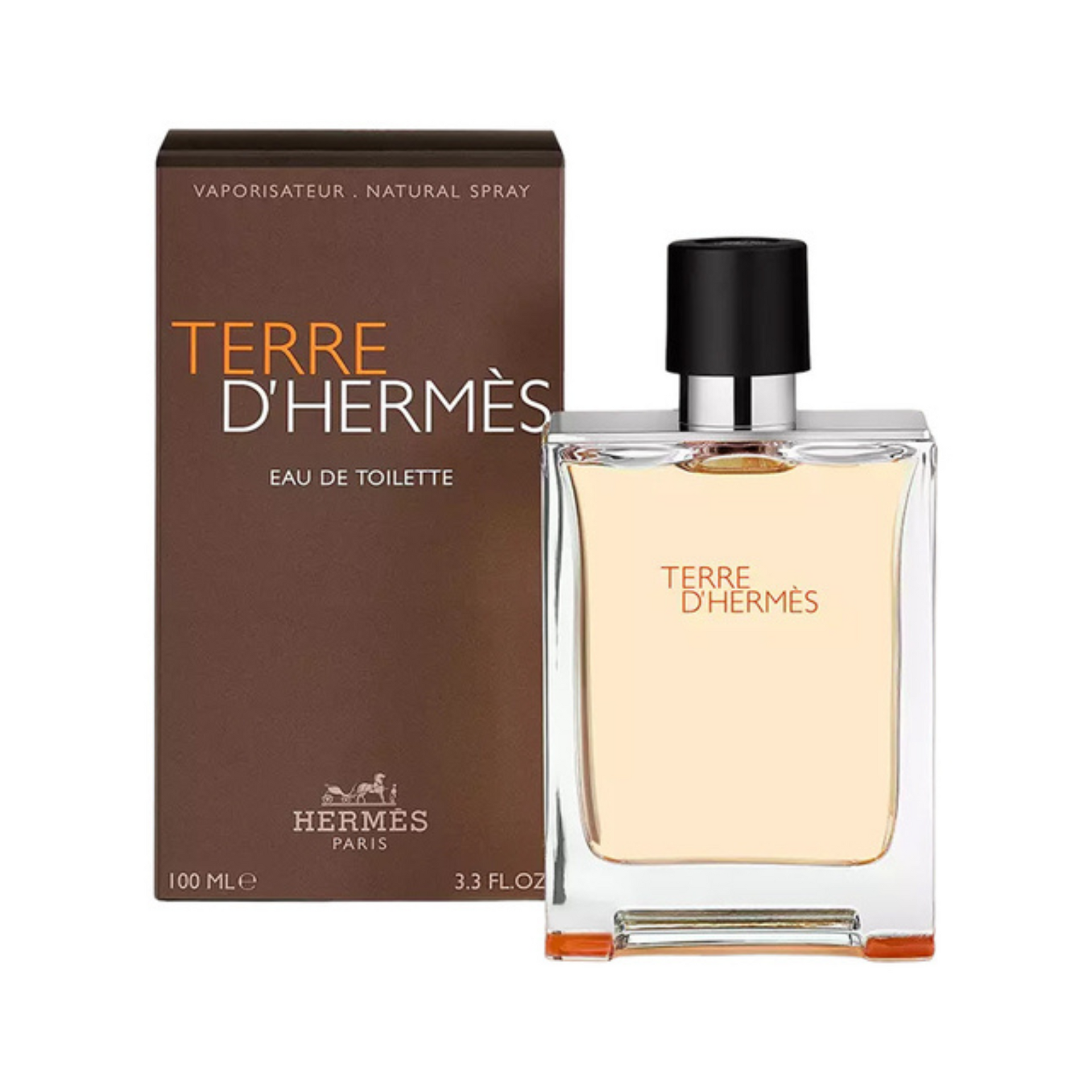 Hermes Terre d'Hermes Eau de Toilette Fragrance for Mens