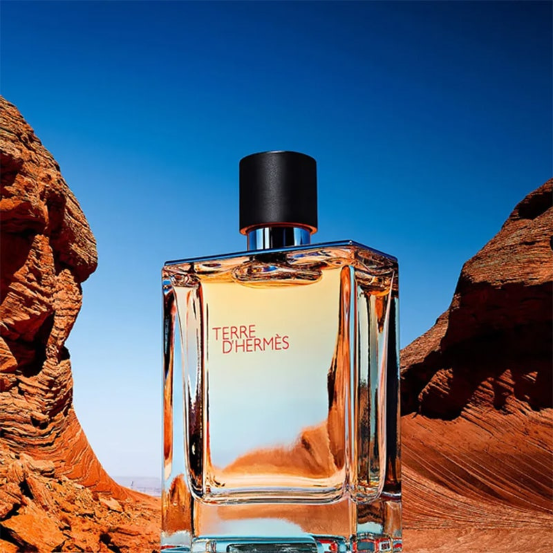 TERRE D'HERMÈS オードトワレ 100ml新品 TERRE オードトワレ 100ml