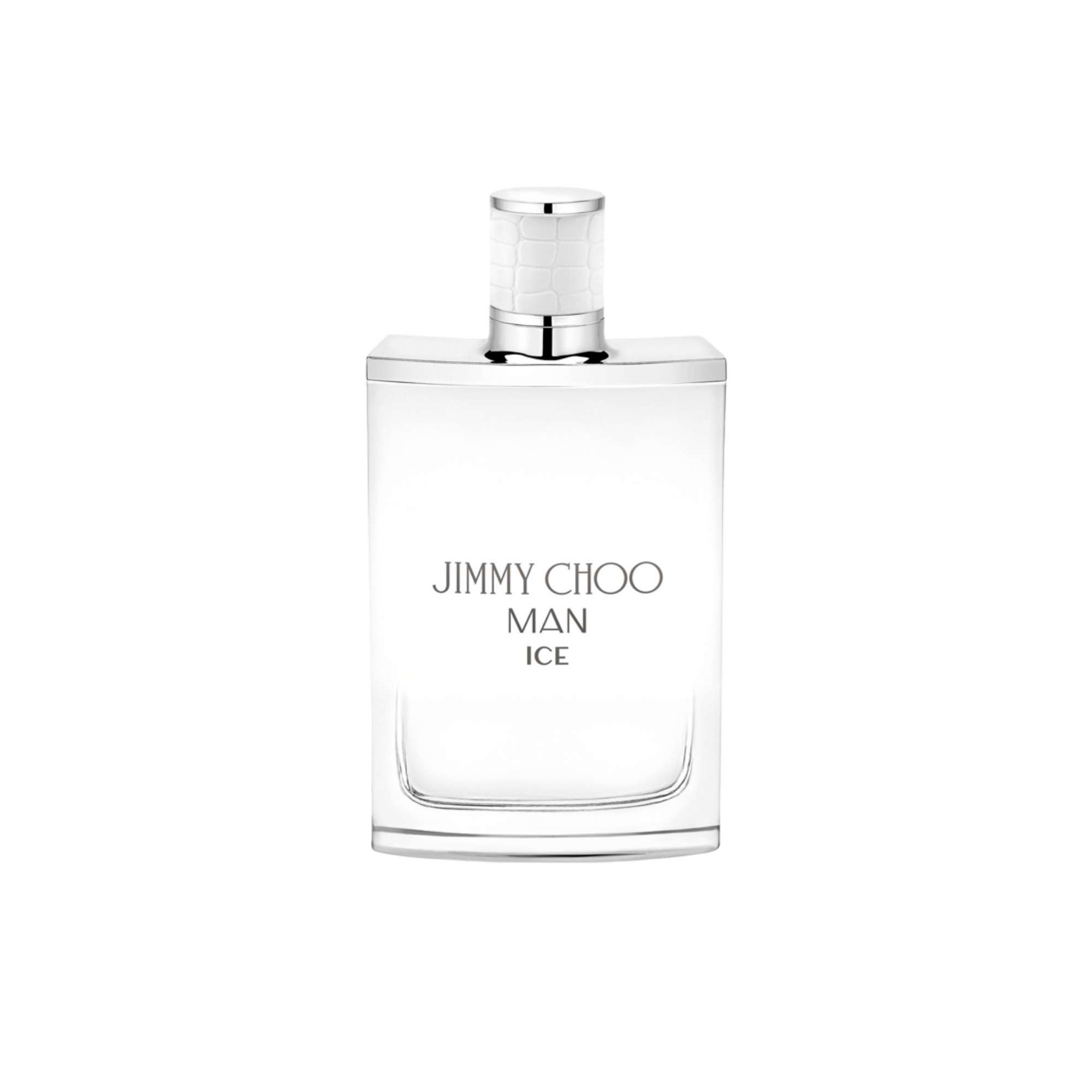 最終値下げ新品未開封一点JIMMY CHOO ICE 100ml オードトワレ Jimmy Choo Ice Eau de Toilette Fragrance for Men