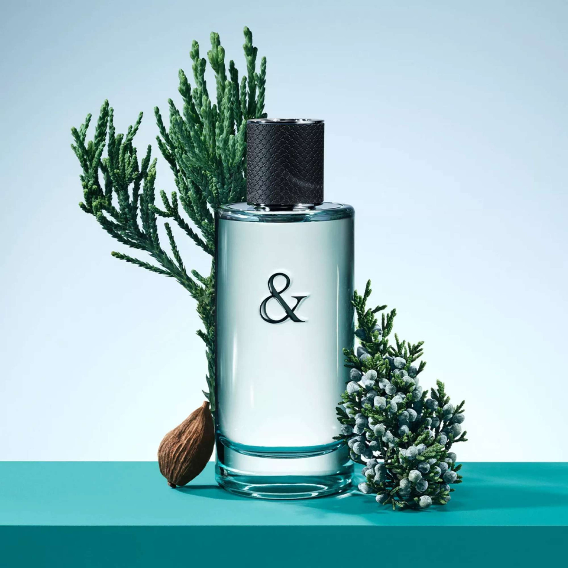 Tiffany & Co. - Love - Eau de Parfum - Fragrance - Mens