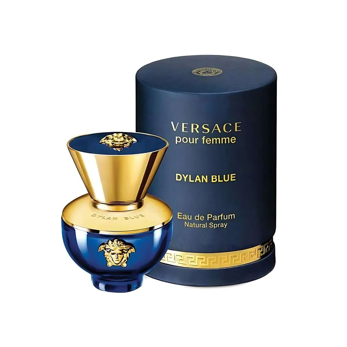 Versace Dylan Blue Eau de Toilette Fragrance for Ladies