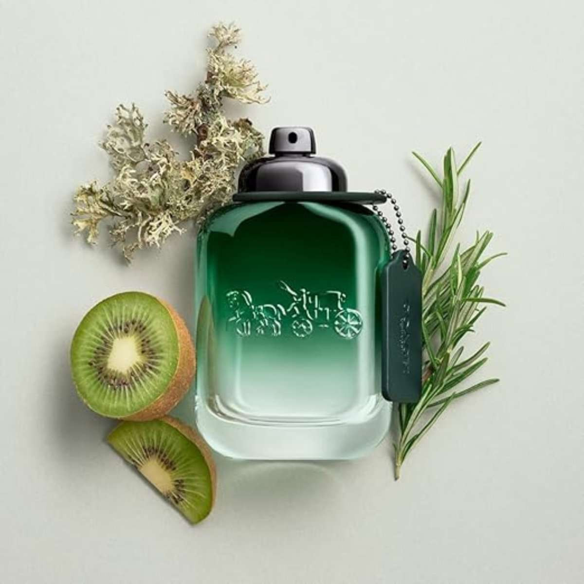 Coach - Green - Eau de Toilette - Fragrance - Mens