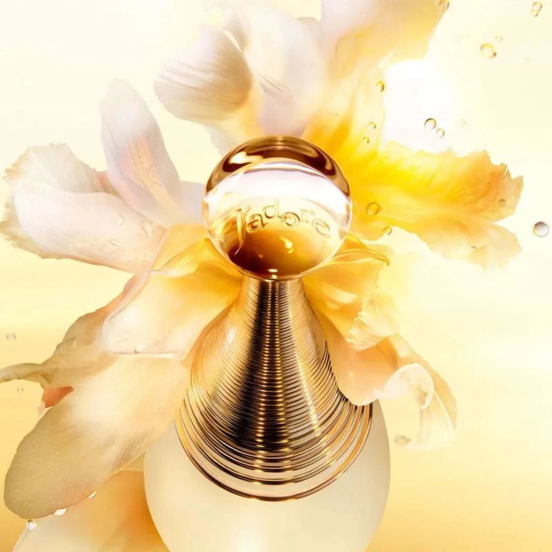 Christian Dior J
