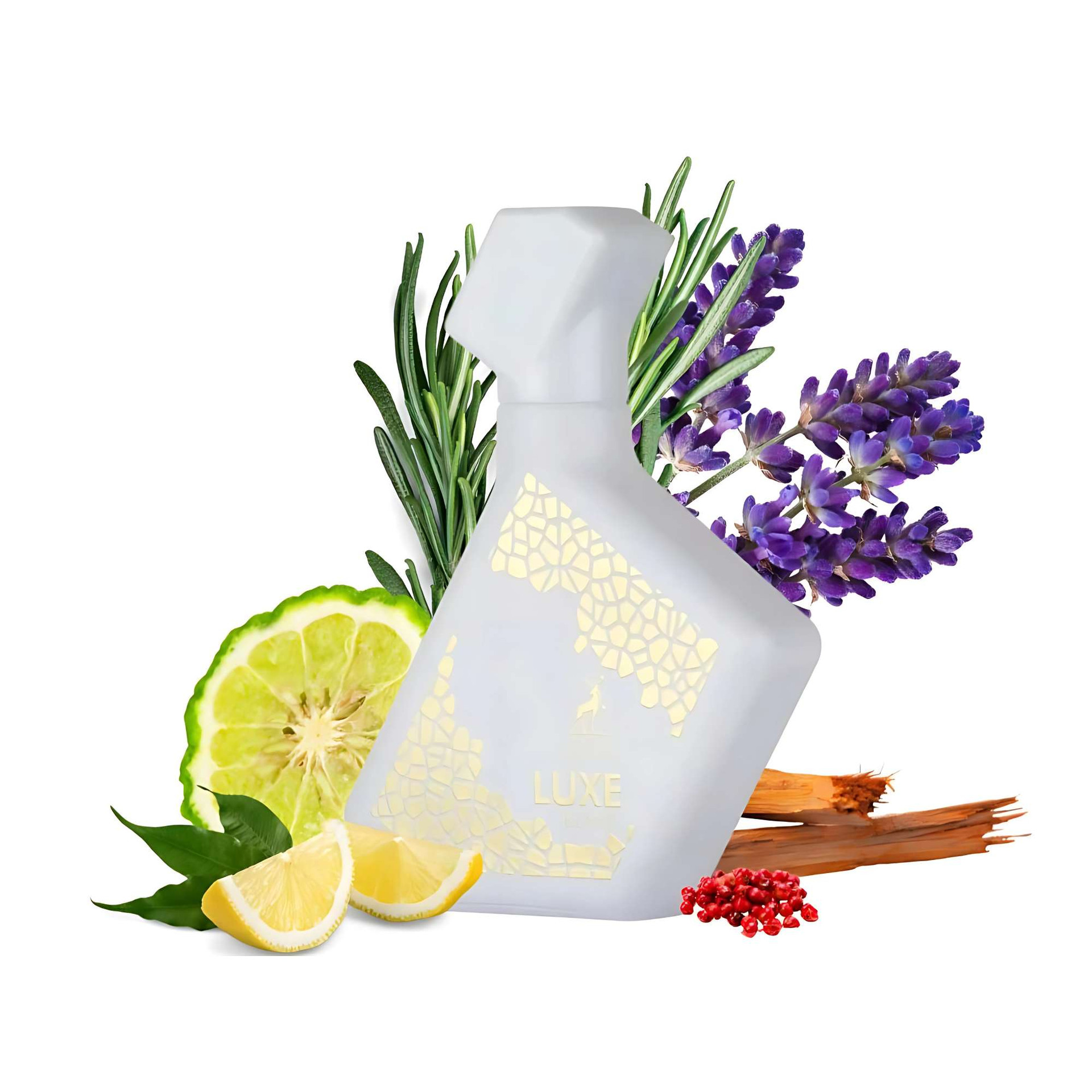 Maison Alhambra Luxe Blanc Eau de Parfum Fragrance for Mens