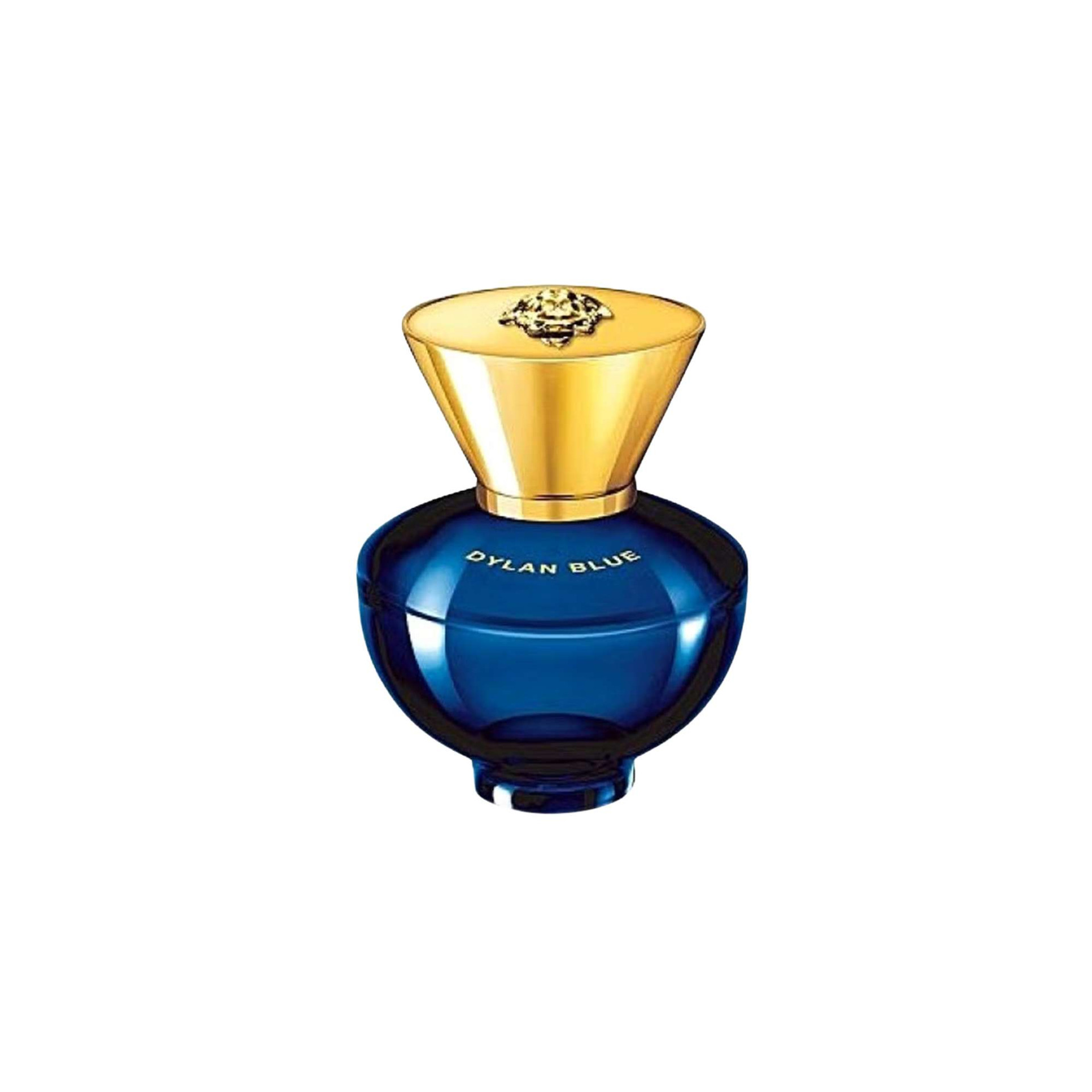 Versace Dylan Blue Eau de Parfum Fragrance for Ladies