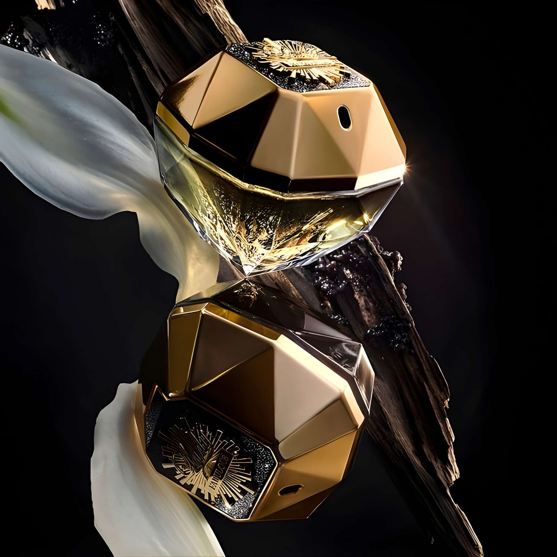 Paco Rabanne Lady Million Fabulous 2 PCS Gift Set for Ladies