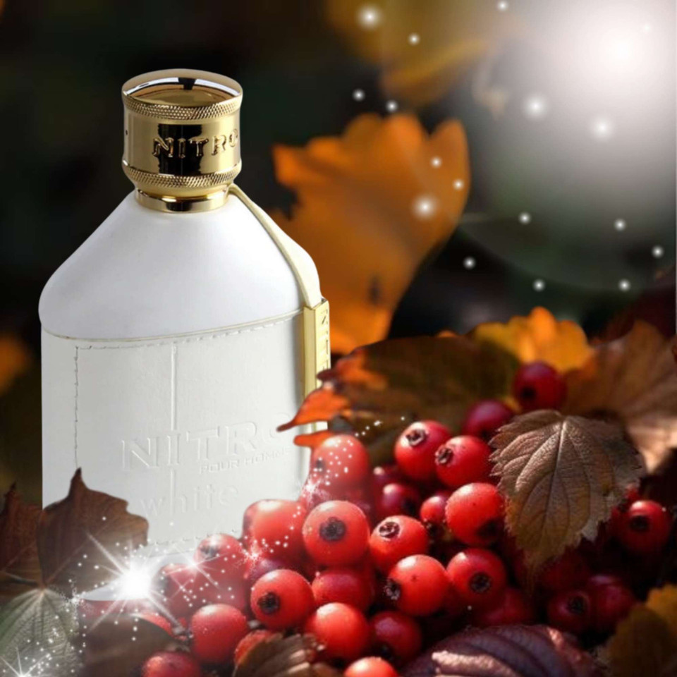 Dumont Nitro White Eau de Parfum Fragrance Mens