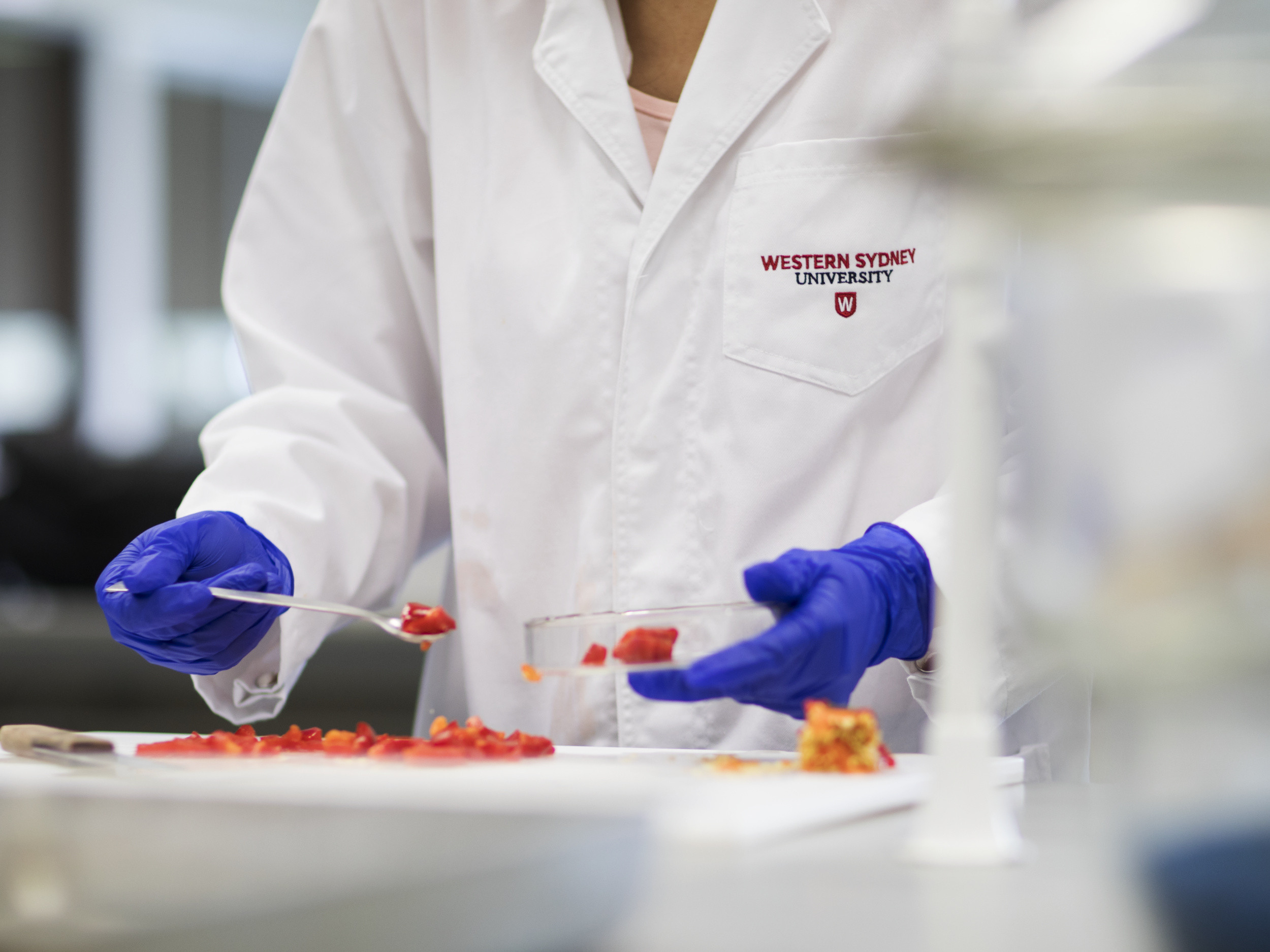 Course Kit Course Uniforms Podiatric Medicine Western Sydney