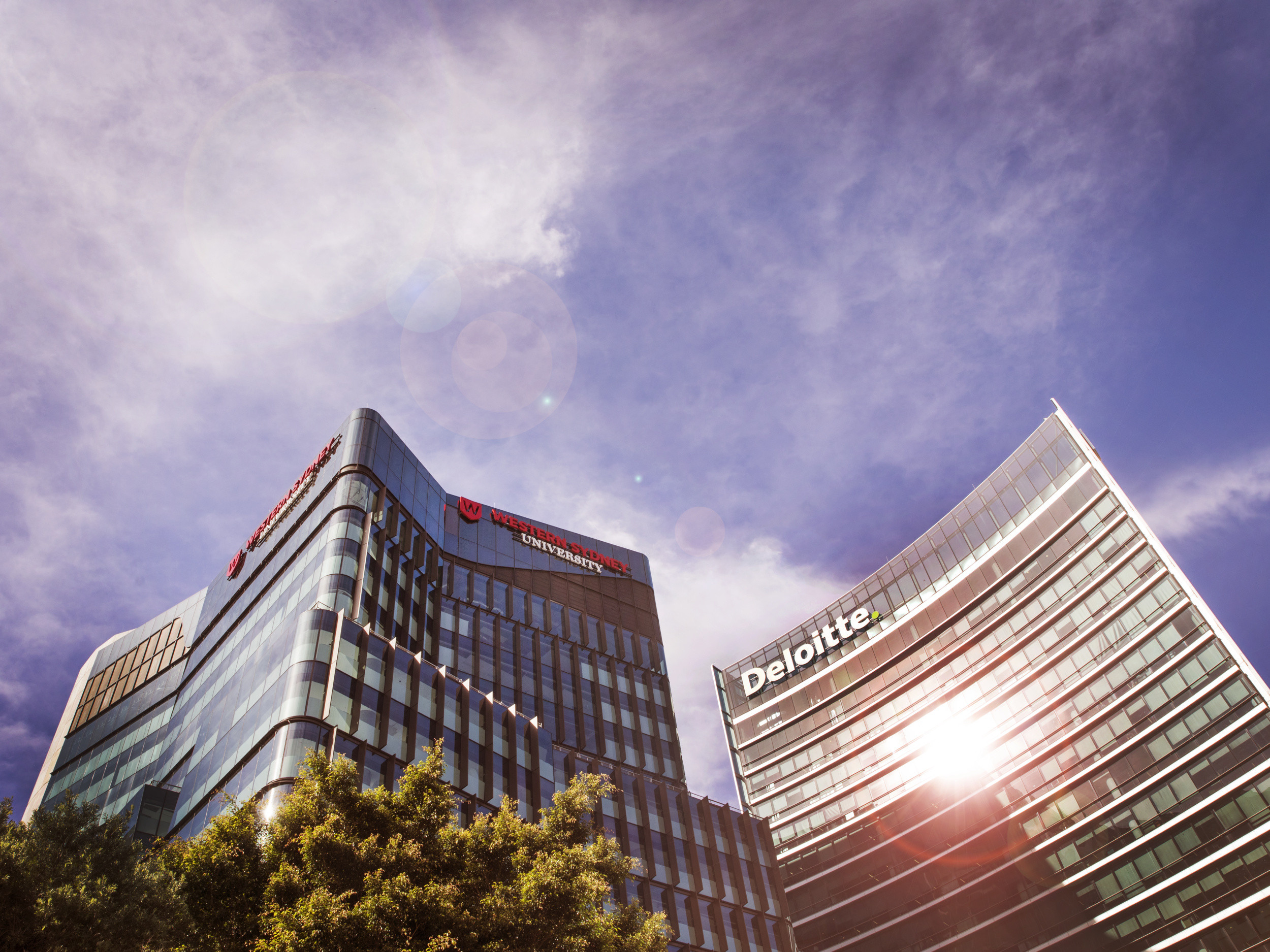 Course Kit Course Uniforms Trad Chinese Medicine Western Sydney