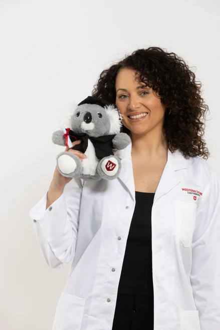 Western Koko Koala Grad Bear