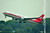 Shanghai Airlines | B767-300 | B-5018 | Print