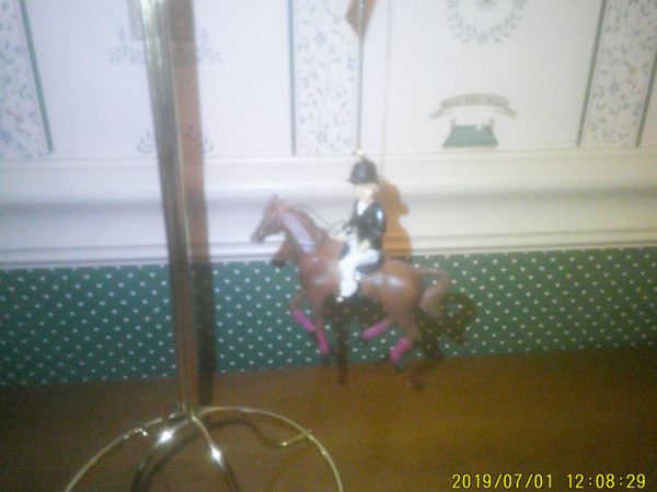 GALLERIE II-2020 LITTLE GIRL RIDER ORNAMENT-NEW