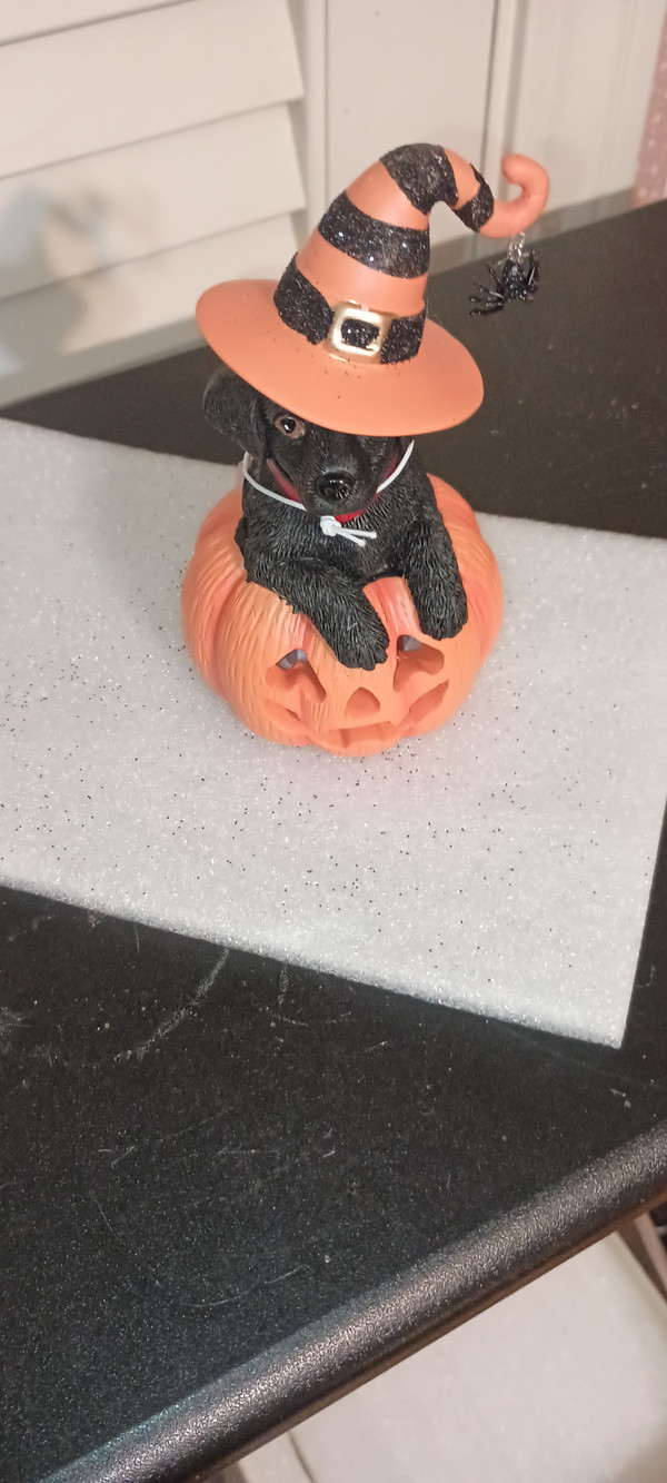 KURT ADLER 2025-HALLOWEEN DOG ATOP PUMPKIN TABLETOP-BLACK LABRADOR RETRIEVER-LIGHTED-NEW