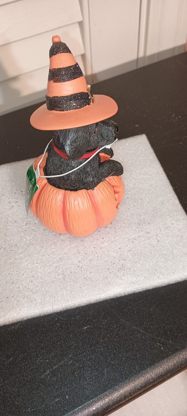 KURT ADLER 2025-HALLOWEEN DOG ATOP PUMPKIN TABLETOP-BLACK LABRADOR RETRIEVER-LIGHTED-NEW