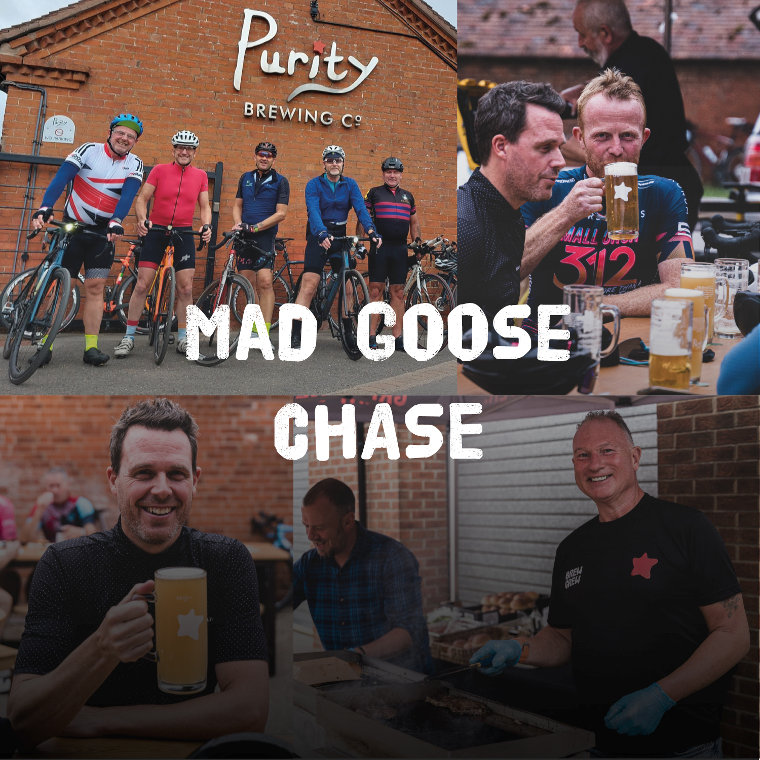 Mad Goose Chase