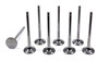 Del West 11/32 Exhaust Valves - 1.625 EV1625-6T-CRST-8