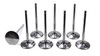 Del West 11/32 Intake Valves - 2.180 IV2180-6T-CRST-8