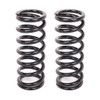 Aldan American Coil Over Springs (pair) 2.5in x 9in - 300lbs 9-300BK2