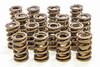 Isky Cams 1.560in Valve Springs 9385PLUS