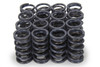 Isky Cams 1.240 Dual Valve Springs 4005