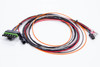 Msd Ignition Wiring Harness ASY17296