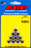 Arp 5/16-24 SS 12pt Nut Kit (10pk) 400-8331