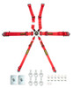 Schroth Racing 6pt Harness System Flexi Red FIA HANS SR 94530-2-27