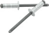 Allstar Performance Sm Hd Rivet Silver 250Pk Multi-Grip All18110