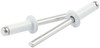 Allstar Performance Sm Hd Rivet White Alum 250Pk All18116