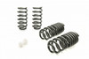 Eibach PRO-KIT Jeep SRT (Set of 4 Springs) E10-51-019-01-22