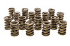 Pac Racing Springs Valve Springs - HR Series (16) PAC-1924