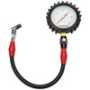 Allstar Performance Tire Pressure Gauge 0-30 PSI 4in Glow ALL44047