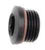 Fragola #6 Port Plug w/ Socket Hex 481306-BL