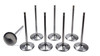 Del West 5//16 Intake Valves - 2.180 IV2180-7T-310-CRST-8