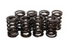 Isky Cams Valve Springs - Nissan SOHC 70058