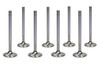 Ferrea SBC C/P HS 1.600 Exhaust Valves F1092P-8
