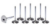 Ferrea GM LS HS 2.200 Intake Valves F2014P-8