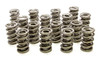 Pac Racing Springs 1.574 Dual Valve Springs - (16) PAC-1395