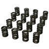 Howards Racing Components 1.550 Dual Valve Springs 98643