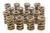 Isky Cams 1.560 Valve Springs 9985RAD