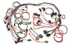 Painless Wiring Tpi Harness 85-89 60102