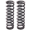 Aldan American Coil Over Springs (pair) 2.5in x 12in - 300lbs 12-300BK2